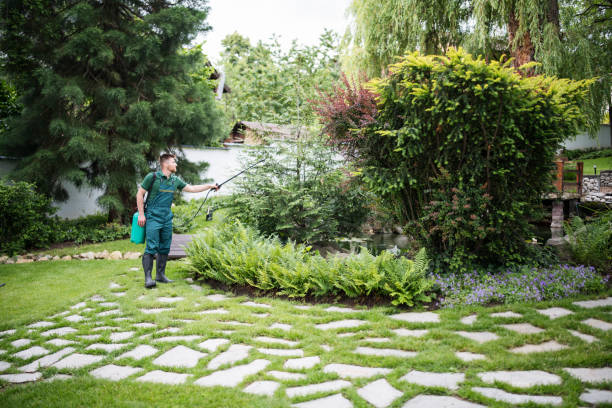 Best Best Pest Control Companies  in Keller, TX