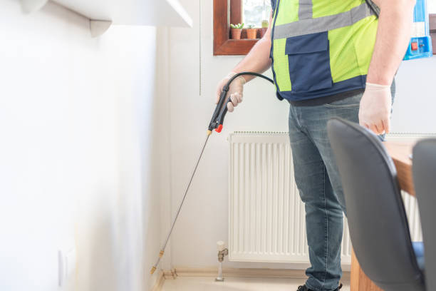 Best Wasp Removal Services  in Keller, TX